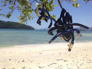 Test new album creator 3 of 5